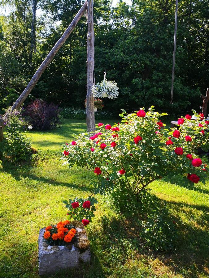 Kotka Farm Hotel Saarekula ภายนอก รูปภาพ
