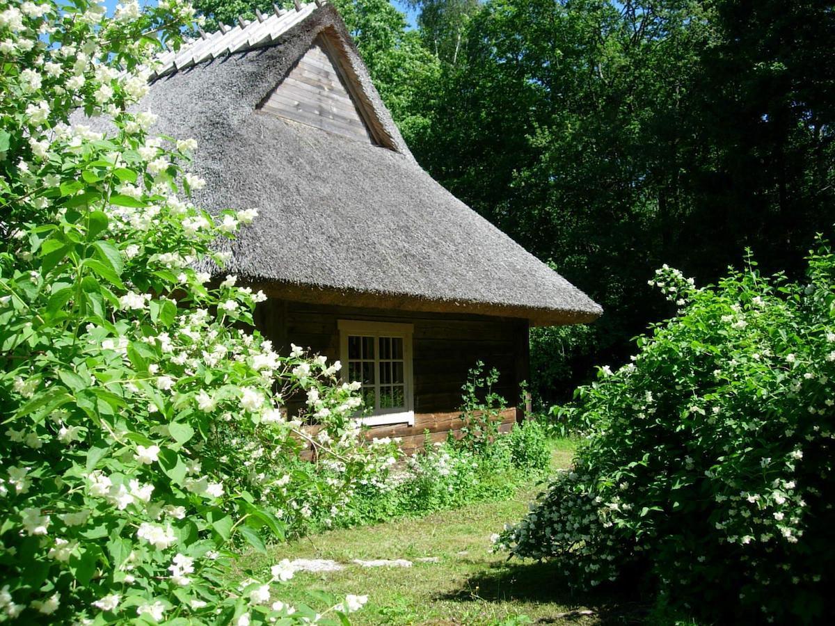 Kotka Farm Hotel Saarekula ภายนอก รูปภาพ