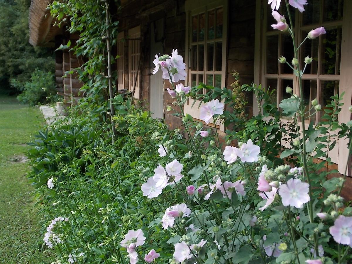 Kotka Farm Hotel Saarekula ภายนอก รูปภาพ