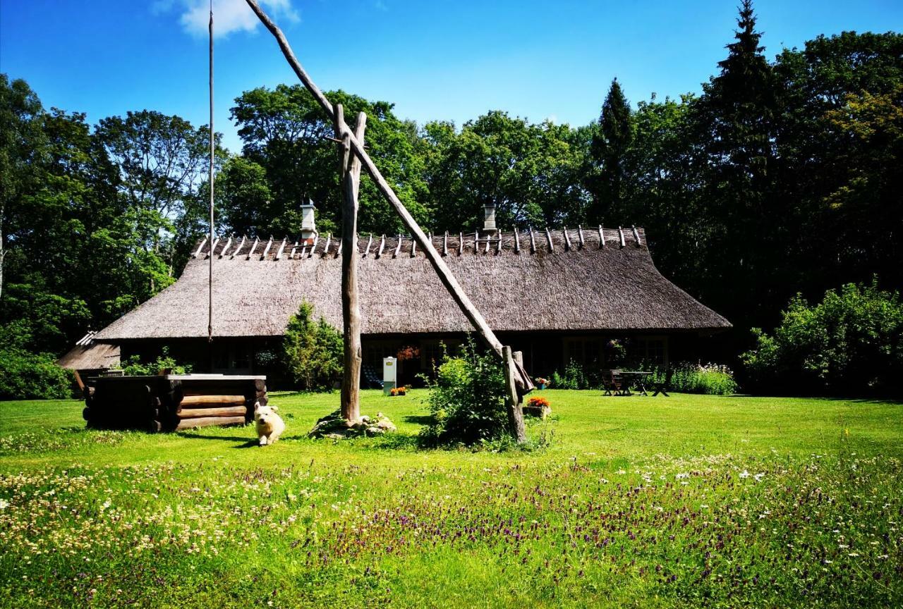 Kotka Farm Hotel Saarekula ภายนอก รูปภาพ